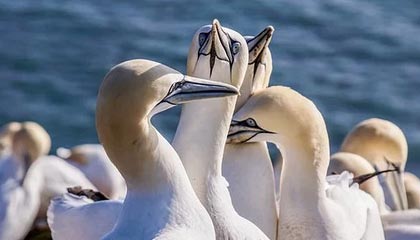 使用伴游app时如何保障个人信息安全